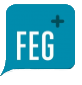 FEG Logo